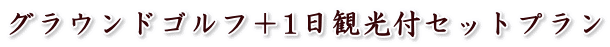 グラウンドゴルフ+1日観光付セットプラン