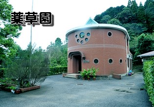 薬草園