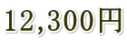 12,300円